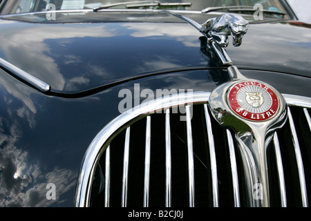 Jaguar auto trasporto super auto sportive automobile veicolo veloce esotici alimentazione velocità di lusso potente arte costosi classic pneumatico Foto Stock