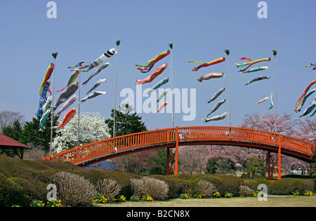 Carp Streamers(Koinobori) volare sopra un arco rosso bridge Asagiri Highland Shizuoka Giappone Foto Stock