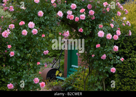 Le Rose in fiore arco a tutto sesto e giardino Potting Shed Foto Stock