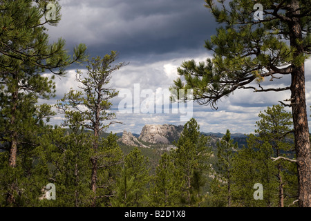 Mt Rushmore da Norbeck si affacciano, Iron Mountain Road, Peter Norbeck Scenic Byway, Black Hills National Forest, il Dakota del Sud Foto Stock