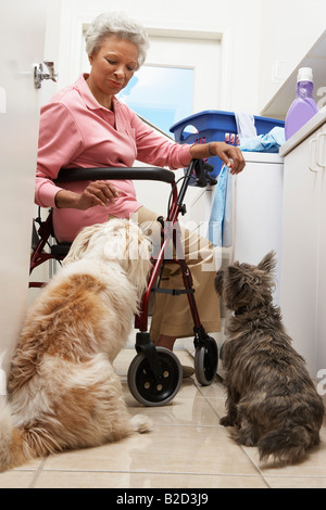 Senior donna facendo servizio lavanderia con i cani Foto Stock