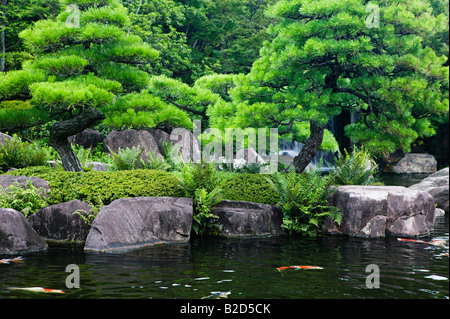 Giappone, Himeji, Himeji Koko-en giardini, laghetto con carpe Foto Stock
