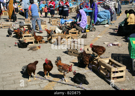 Luogo di mercato al di fuori di San Juan Chamula Chiesa, Nr di San Cristobal de Las Casas, Chiapas Provincia, Messico Foto Stock