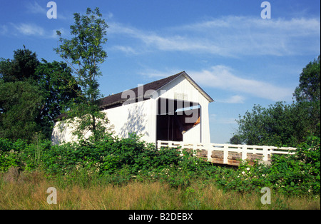 Parvin Creek Ponte Coperto Lane County Oregon USA Rattlesnake Road Lost Creek valle persa Lane Foto Stock