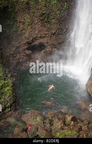 Nuoto alla base delle Cascate Middleham Dominica Caraibi Orientali West Indies Le cascate sono di 100 piedi Foto Stock