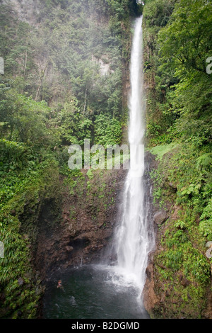 Nuoto alla base delle Cascate Middleham Dominica Caraibi Orientali West Indies Le cascate sono di 100 piedi Foto Stock