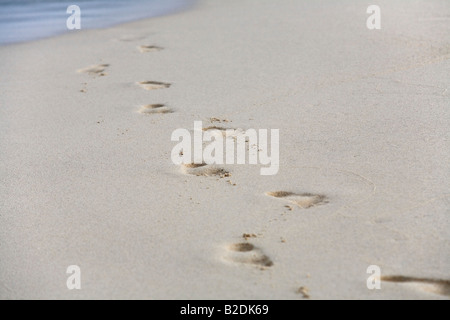 Sandy Footprints Isole Vergini Britanniche Foto Stock
