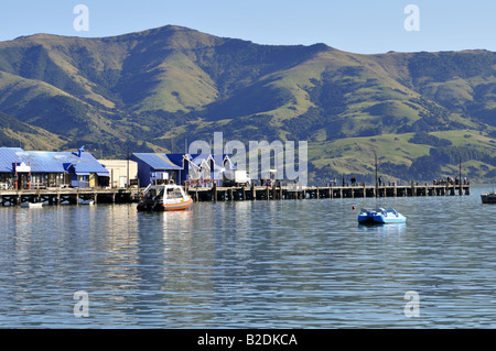 Porto di Akaroa e jetty Penisola di Banks Canterbury Isola del Sud della Nuova Zelanda Foto Stock