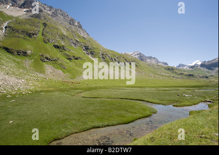 Plan de la plagne valle della Vanoise, Savoie, Francia Foto Stock