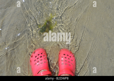 Crocs scarpe di tipo in acqua di mare Foto Stock