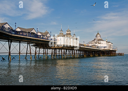 Regno Unito, Inghilterra, 25 luglio 2008. Eastbourne Pier sulla East Sussex costa. Foto Stock