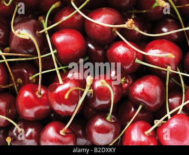 Le ciliegie frame completo Foto Stock