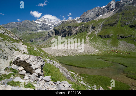 Plan de la plagne valle della Vanoise, Savoie, Francia Foto Stock