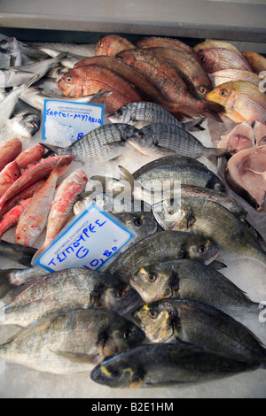 Grecia il pesce fresco sul display in un pescivendoli Foto Stock