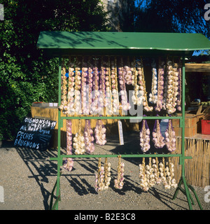 Le stringhe di aglio per la vendita Ardèche Francia Foto Stock