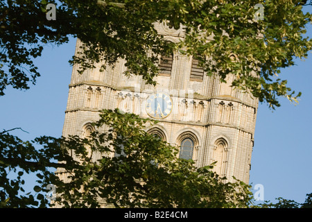 Cattedrale di Ely Cambridgeshire, Inghilterra Foto Stock