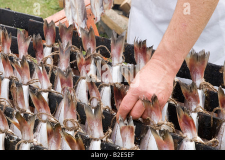 Eglefino cotto pesci Smokies, affumicati conserve specialità pesce,Arbroath in Angus, Scozia Foto Stock