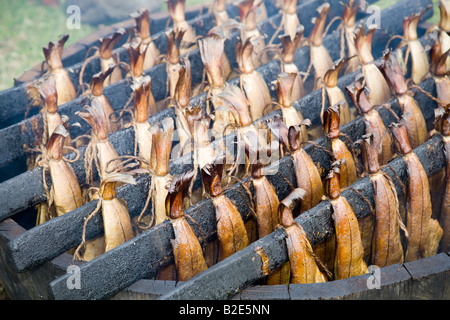 Eglefino cotto pesci Smokies, affumicati conserve di specialità a base di frutti di mare, Arbroath in Angus, Scozia. Foto Stock