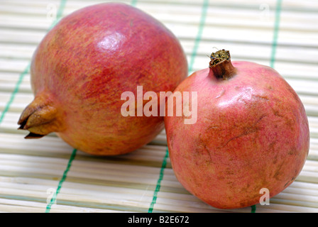 Coppia di melograni Foto Stock