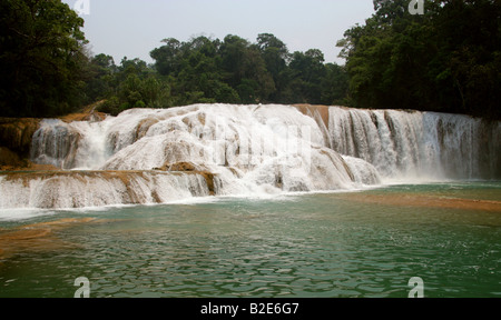 Cataratas de Agua Azul, Nr Palenque, Chiapas, Messico. Foto Stock