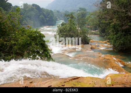 Cataratas de Agua Azul, Nr Palenque, Chiapas, Messico. Foto Stock