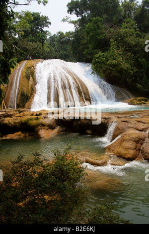 Cataratas de Agua Azul, Nr Palenque, Chiapas, Messico. Foto Stock