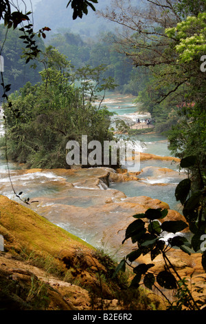 Cataratas de Agua Azul, Nr Palenque, Chiapas, Messico. Foto Stock