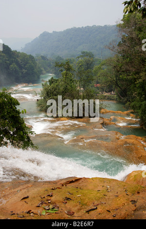 Cataratas de Agua Azul, Nr Palenque, Chiapas, Messico. Foto Stock