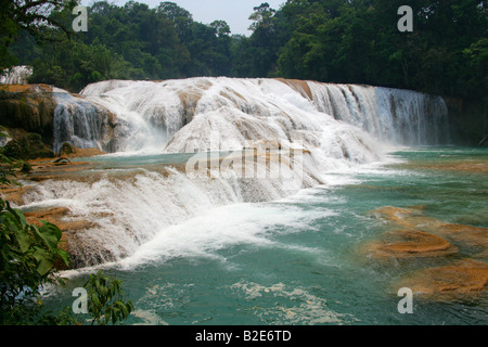 Cataratas de Agua Azul, Nr Palenque, Chiapas, Messico. Foto Stock