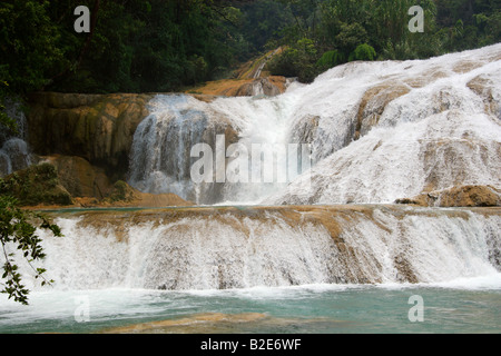 Cataratas de Agua Azul, Nr Palenque, Chiapas, Messico. Foto Stock