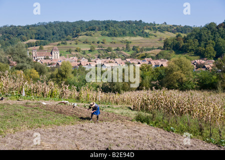 Elevato angolo di visione del lavoro contadino in campo, Valea Viilor, Wurmloch, Transilvania, Romania Foto Stock