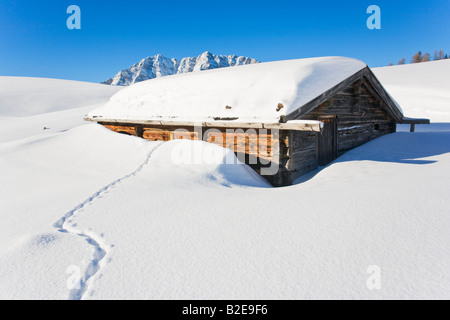 Animale la via che conduce a malga sul paesaggio polare Foto Stock