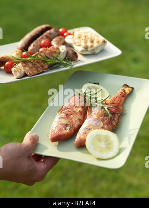 Close-up di persona la mano che regge il cibo alla griglia su piastre Foto Stock