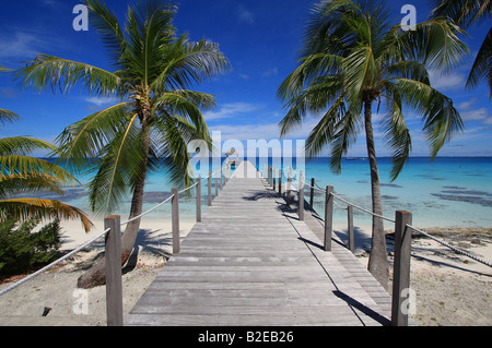 Pier e palme sulla spiaggia, Maitai Dream Hotel, Fakarava, Arcipelago Tuamotu, Polinesia francese, Polinesia, isola del Pacifico Foto Stock