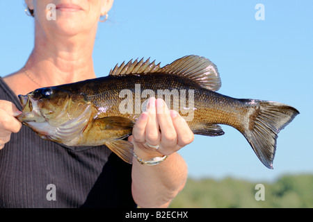 Un smallmouth detenute da un pescatore di donna Foto Stock