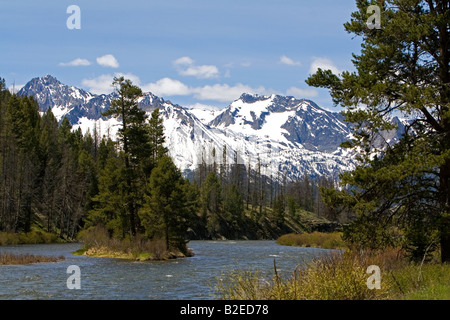 Il fiume di salmoni che scorre al di sotto del dente di sega a catena montuosa vicino a Stanley Idaho Foto Stock