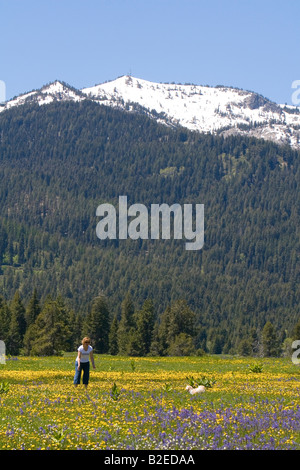 La donna e il suo cane giocare in un campo di fiori selvatici al di sotto di cumulo di neve montagna nella valle rotonda Idaho Foto Stock