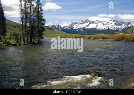 Il fiume di salmoni che scorre attraverso la valle a dente di sega al di sotto del dente di sega a catena montuosa vicino a Stanley Idaho Foto Stock