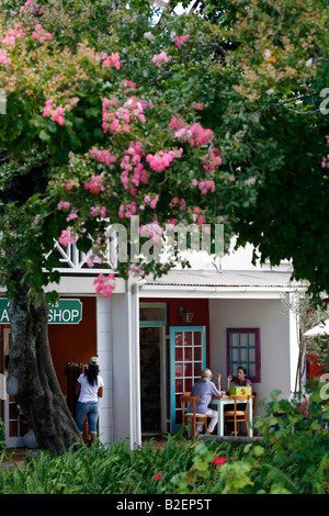 Paio di tè presso un ristorante all'aperto in Franschoek e Foto Stock