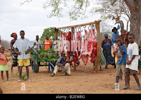 Una macelleria all'aperto nella periferia di Mapai mostra carcasse di animali macellati appeso sulla carne ganci sotto un albero Foto Stock