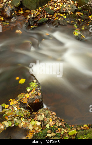 Fiume Esk scorre sopra e intorno alle foglie coperte di massi in North York Moors National Park Foto Stock