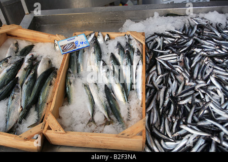 Grecia il pesce fresco sul display in un pescivendoli Foto Stock