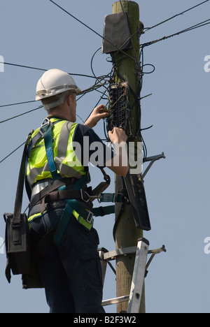 British Telecom engineer lavorando su un telefono cassetta di giunzione, Bawdsey, Suffolk, Regno Unito. Foto Stock