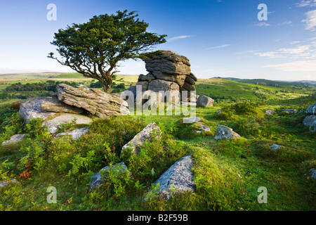 Estate a sella Tor nel Parco Nazionale di Dartmoor Devon England Foto Stock