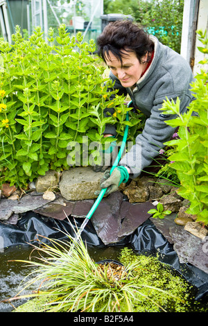 Il riempimento di un piccolo laghetto in giardino con un tubo flessibile Foto Stock