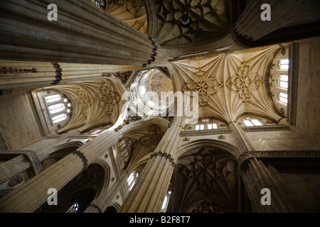 Spagna Salamanca interno colonne e contrafforti della nuova Cattedrale ornate sculture in pietra vista del soffitto da sotto Foto Stock