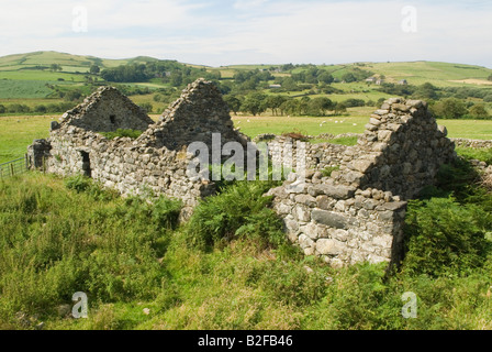 Rovinato tradizionale pietra fattoria costruzione rurale ovest Galles Gwynedd UK 2008 HOMER SYKES Foto Stock