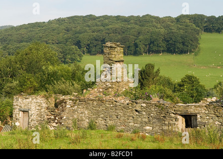 Rovinato tradizionale fattoria in pietra edificio rurale del Galles occidentale Pennal Gwynedd UK 2008 Foto Stock