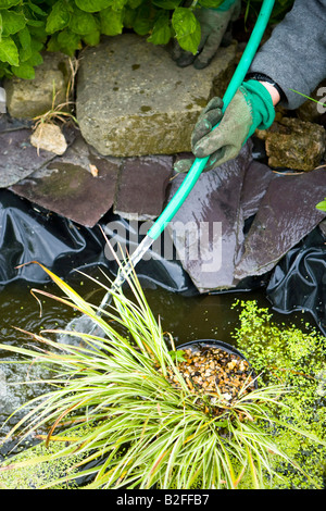 Il riempimento di un piccolo laghetto in giardino con un tubo flessibile Foto Stock