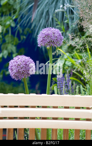 Chelsea Flower Show 2008, Allium, il velluto trapuntato Garden Designer: James Towillis, con Pietro Biggs (impianto) Foto Stock